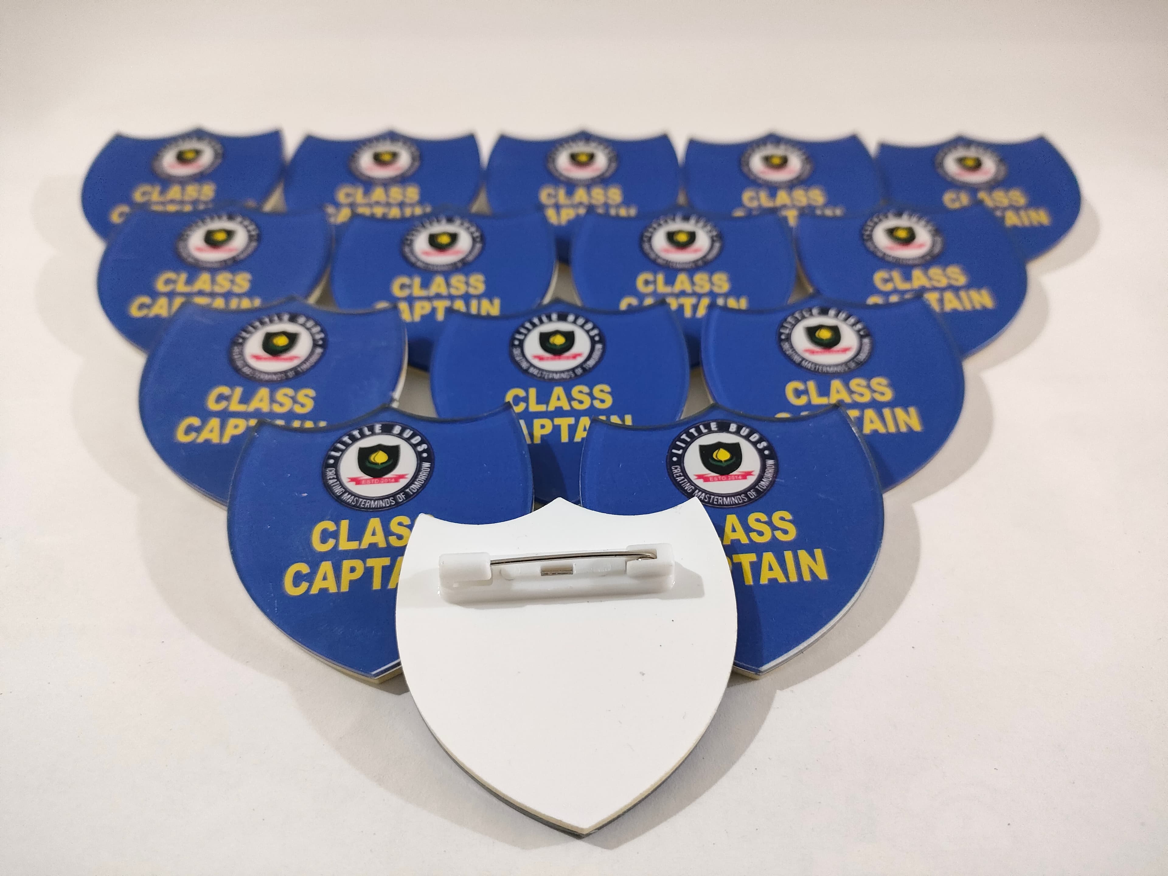 Custom Curved Institutional Crest